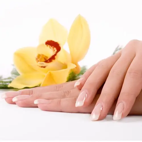 Nail Love Nail Love